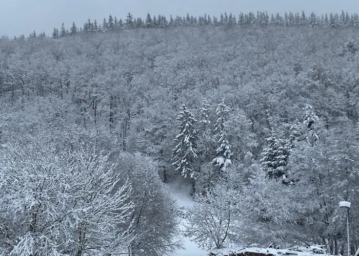 Eschbach Hof Am Nuerburgring *
